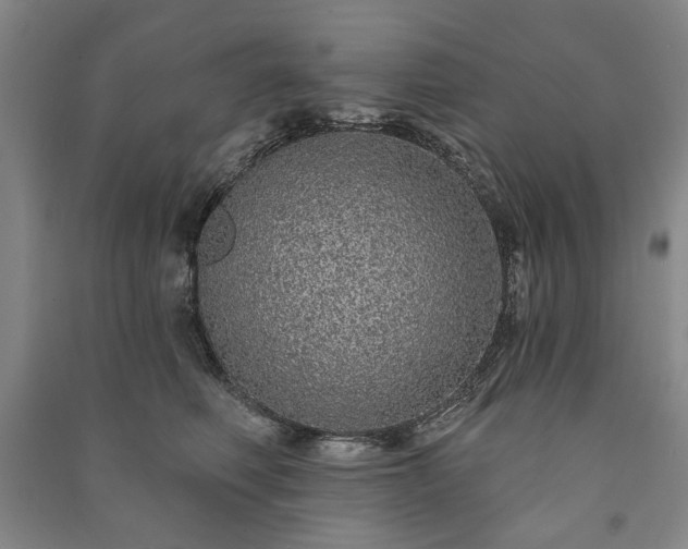 X0000091210614200708161544