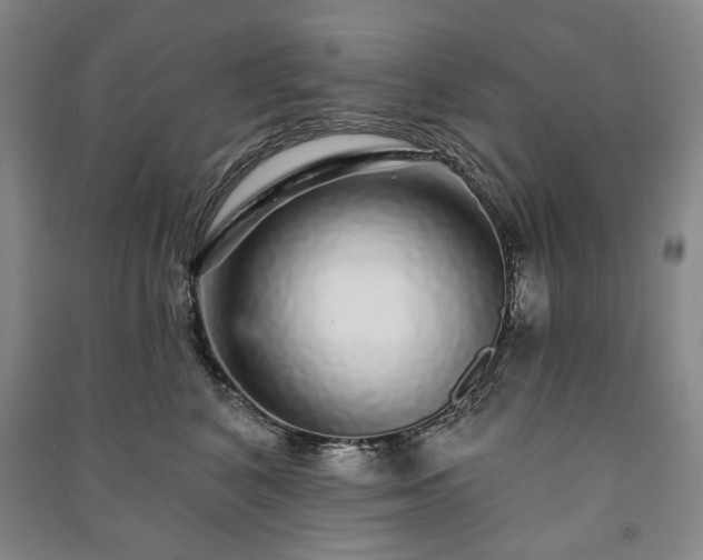 X0000091210616200708161544