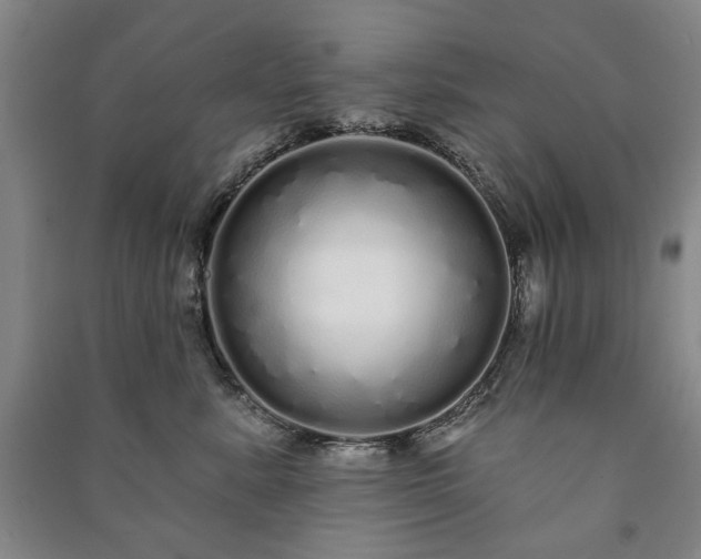 X0000091210619200708161544