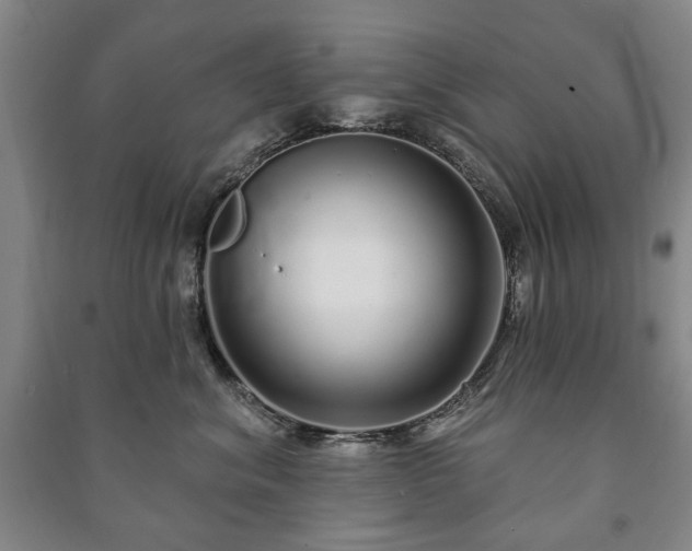 X0000091210620200708161544