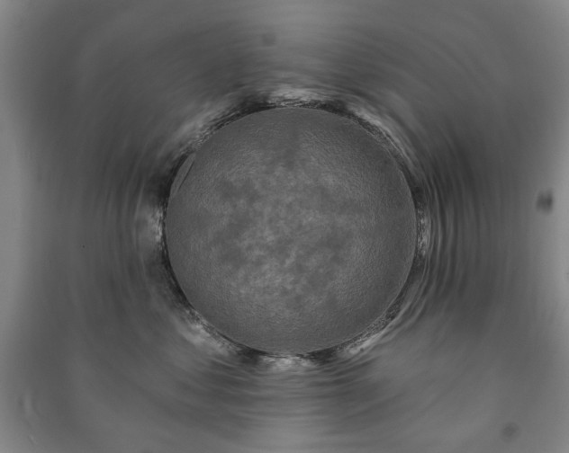 X0000091210621200708161544