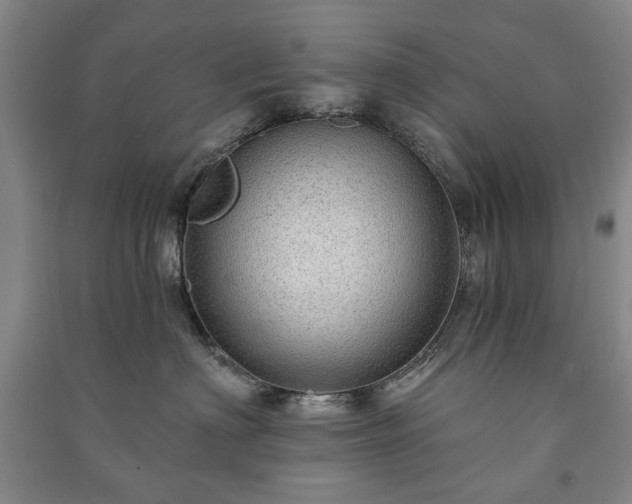 X0000091210622200708161544