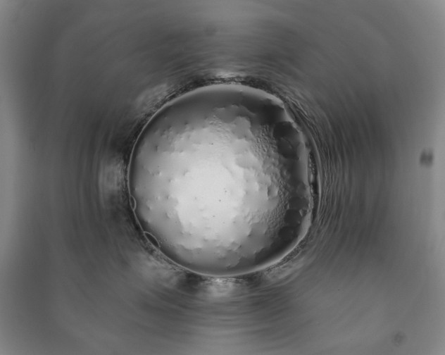 X0000091210623200708161544