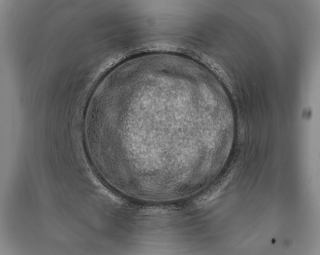 X0000091210625200708161543