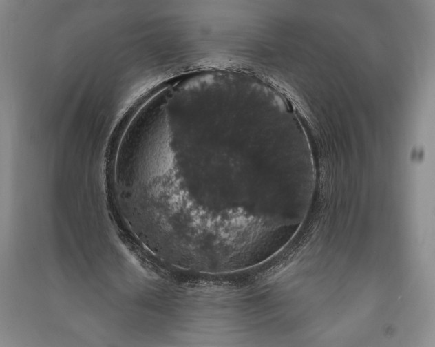 X0000091210626200708161543
