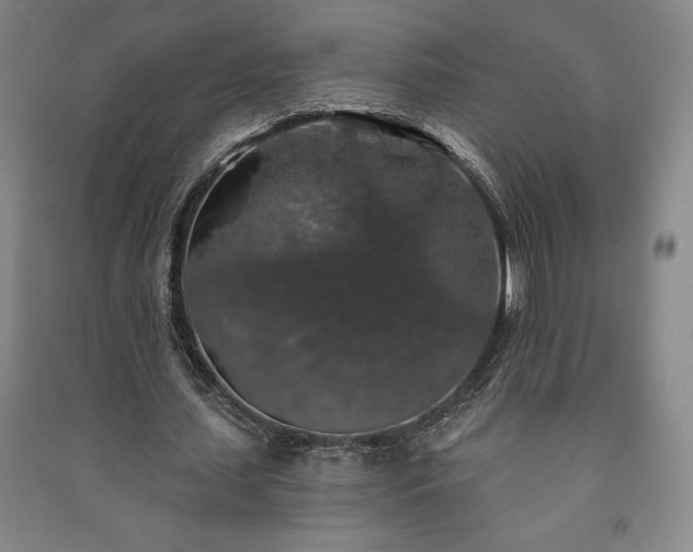 X0000091210627200708161543