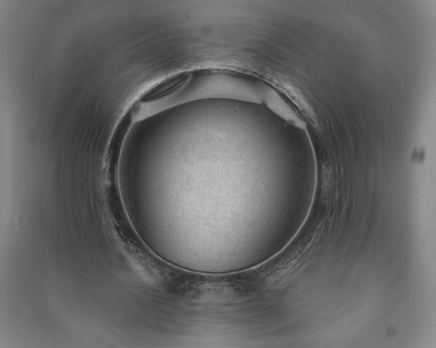 X0000091210628200708161543
