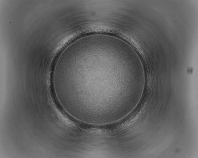 X0000091210629200708161544