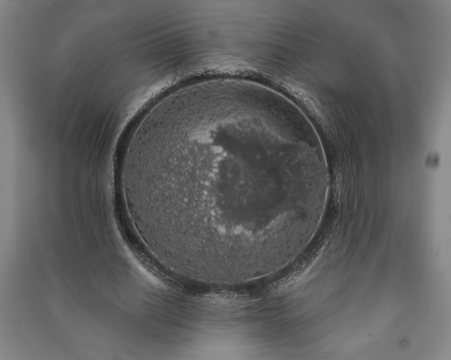 X0000091210630200708161544