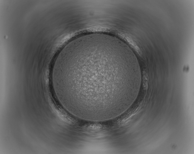 X0000091210631200708161544