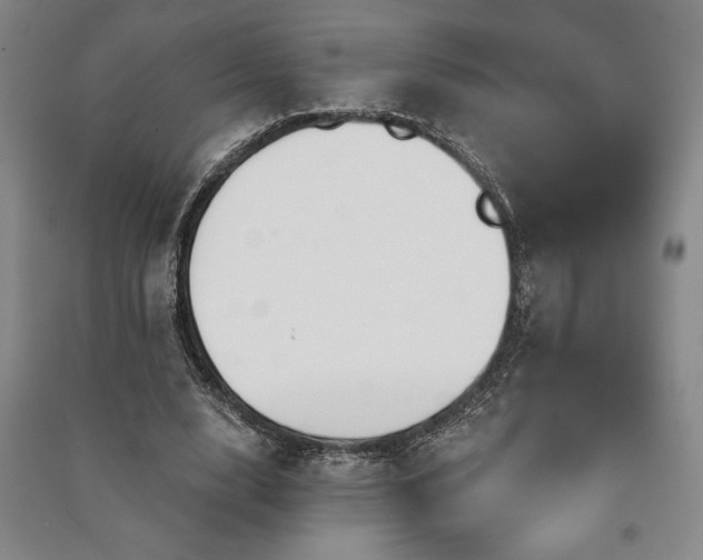 X0000091210632200708161544
