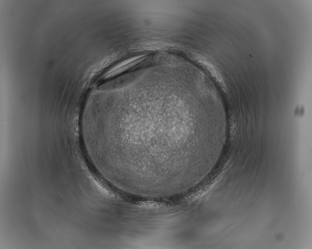 X0000091210633200708161544