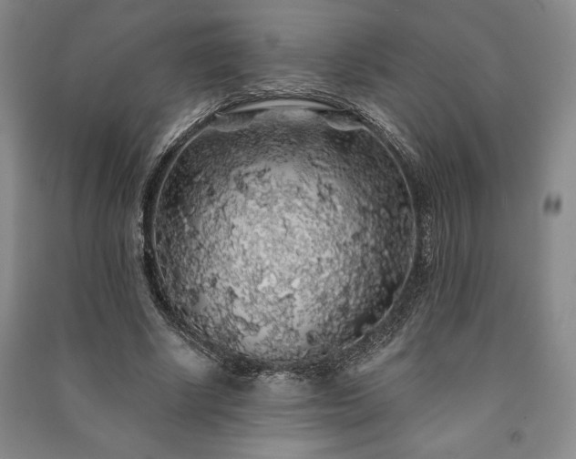X0000091210634200708161544