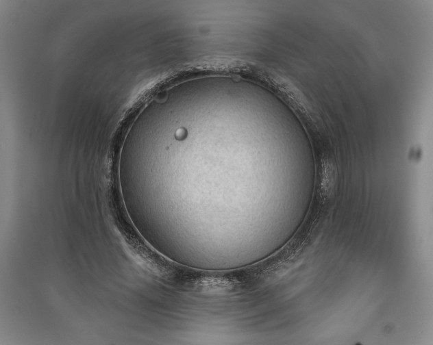 X0000091210636200708161544