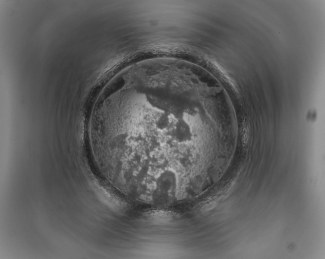 X0000091210637200708161544
