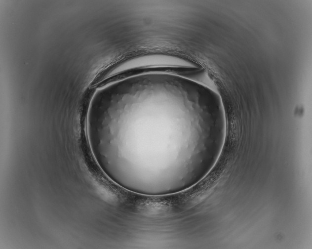 X0000091210638200708161544
