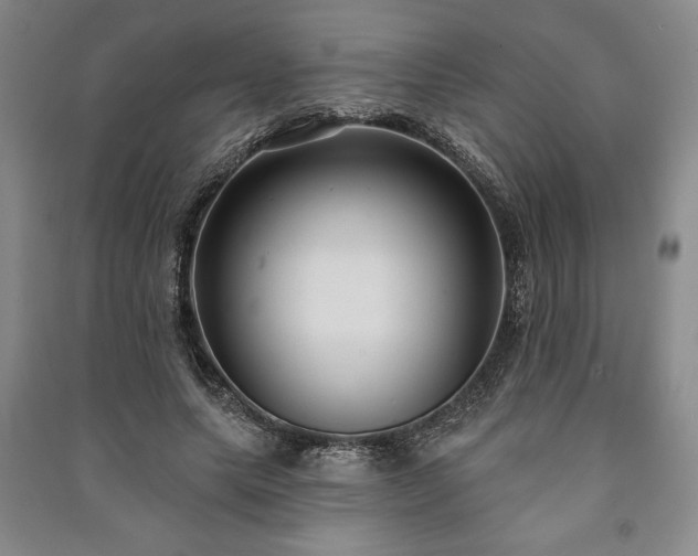 X0000091210639200708161544