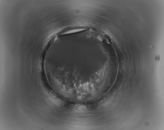 X0000091210640200708161544