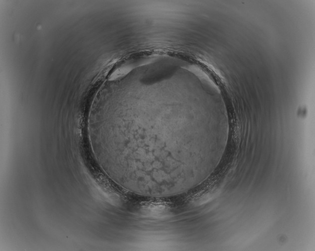 X0000091210643200708161544