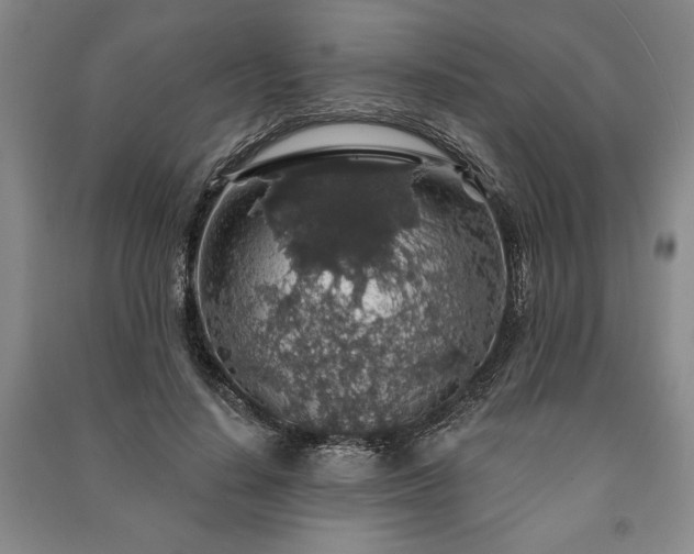 X0000091210644200708161544