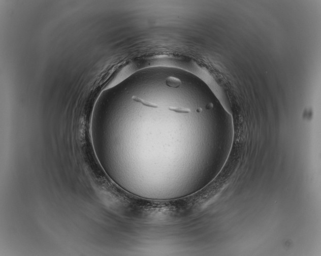X0000091210646200708161544