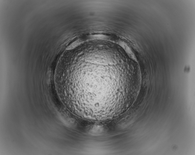 X0000091210647200708161544