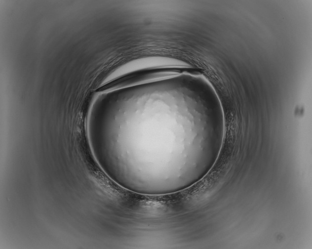 X0000091210649200708161544