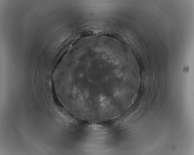 X0000091210650200708161544