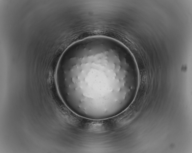 X0000091210651200708161544