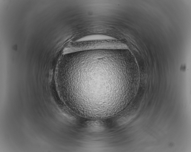 X0000091210652200708161544