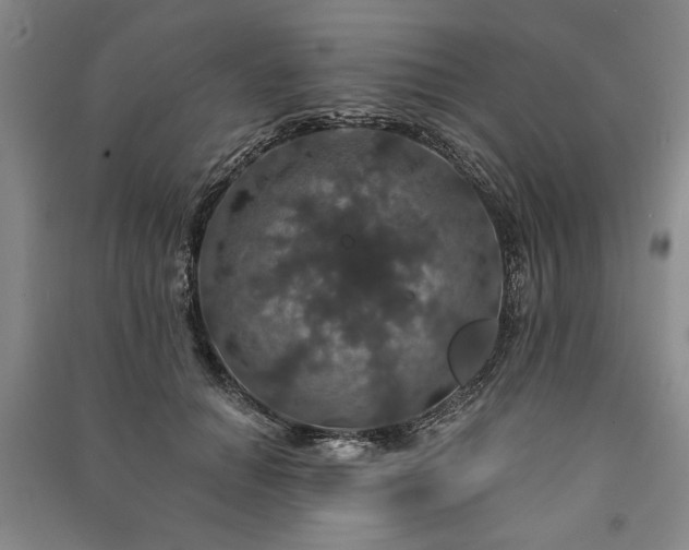 X0000091210654200708161544