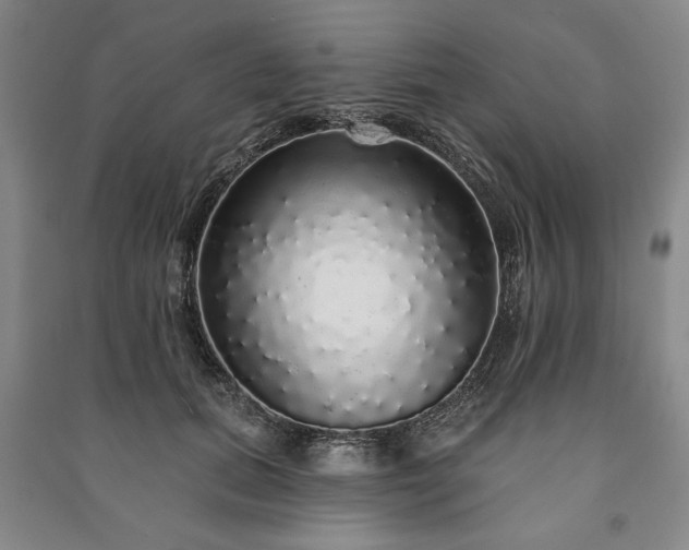 X0000091210655200708161544