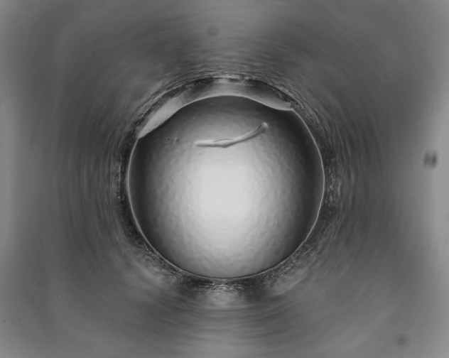 X0000091210656200708161544