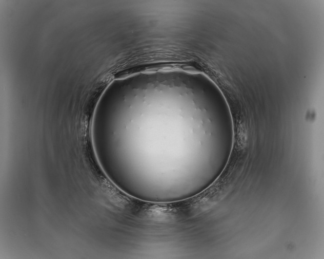 X0000091210657200708161544