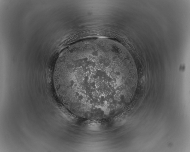 X0000091210658200708161544