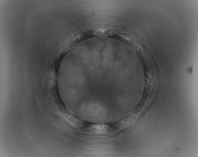 X0000091210659200708161544