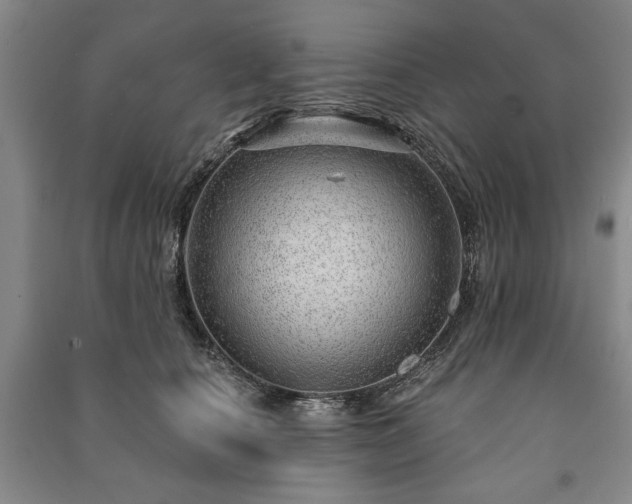 X0000091210660200708161544