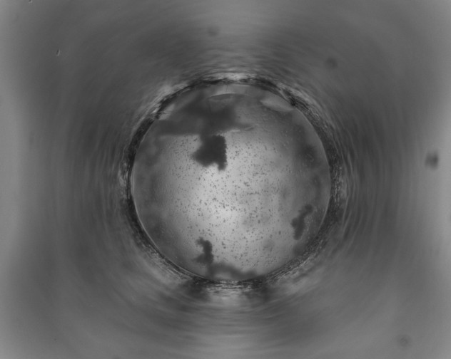 X0000091210661200708161544