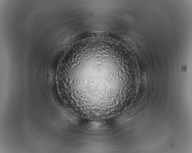 X0000091210662200708161544