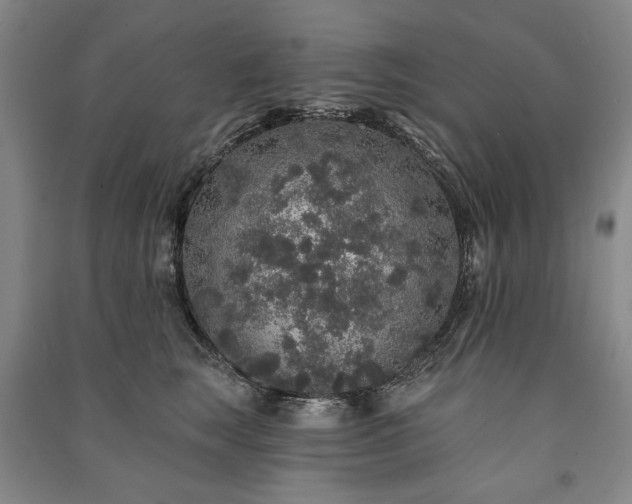 X0000091210663200708161544