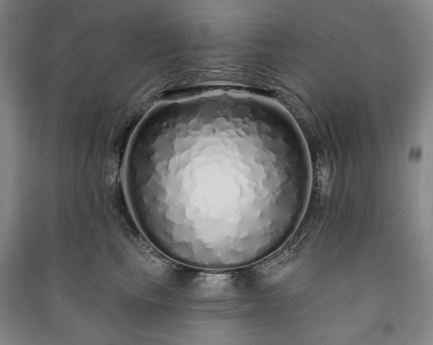 X0000091210665200708161544