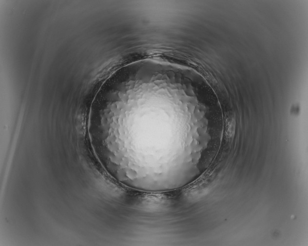 X0000091210666200708161544