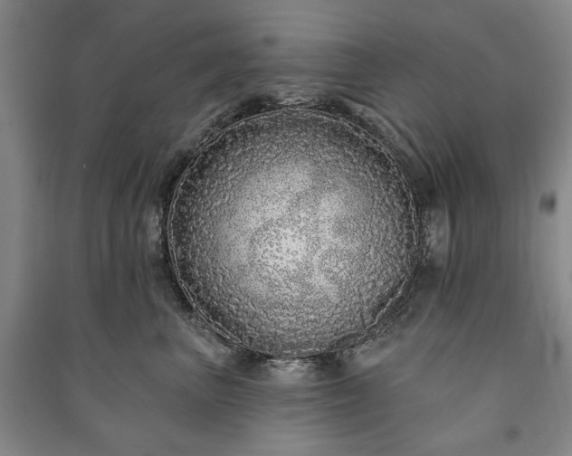 X0000091210667200708161544