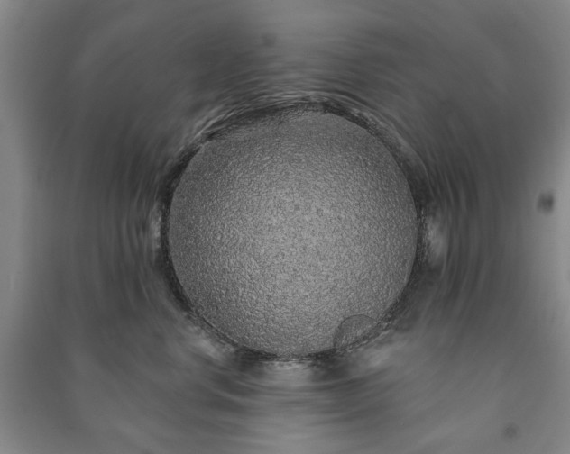 X0000091210668200708161544