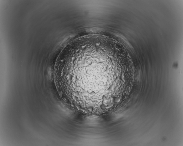 X0000091210669200708161544