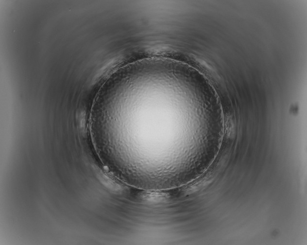 X0000091210670200708161544