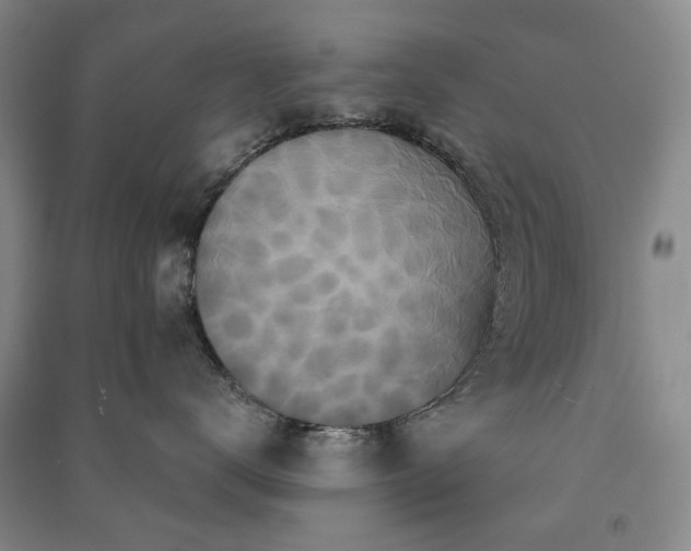 X0000091210672200708161544