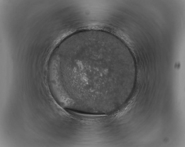 X0000091210673200708161543
