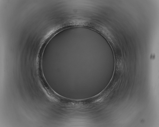 X0000091210674200708161543