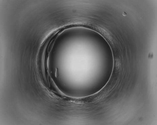 X0000091210676200708161543